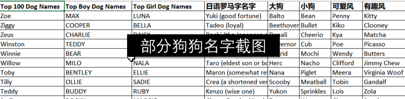 宠物狗英文名字大全截图
